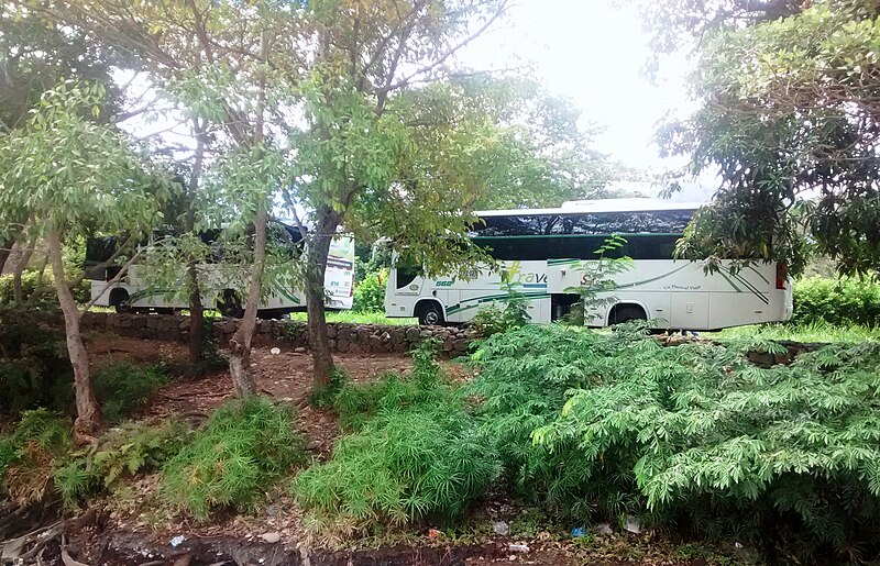 File:Dos autobuses.jpg