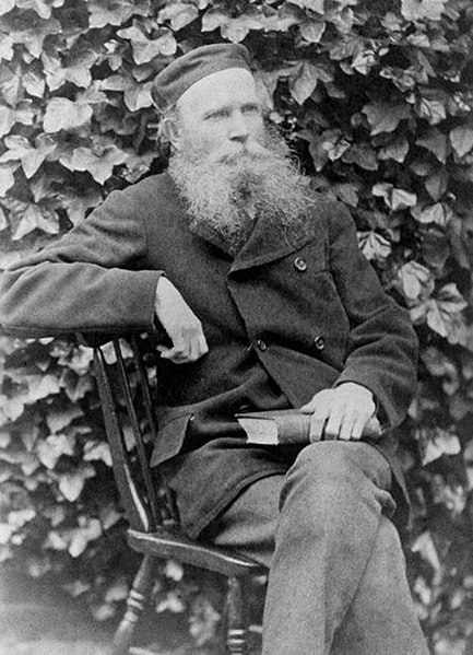 William Chester Minor, 1834–1920