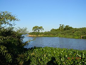 El río Paraná, a su paso por el paraje natural "El Tonelero" en el partido de Ramallo, provincia de Buenos Aires, Argentina.jpg