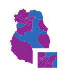 Miniatura para Elecciones provinciales de Mendoza de 2019