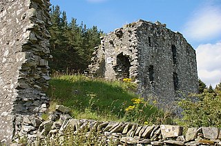 <span class="mw-page-title-main">Elibank Castle</span>