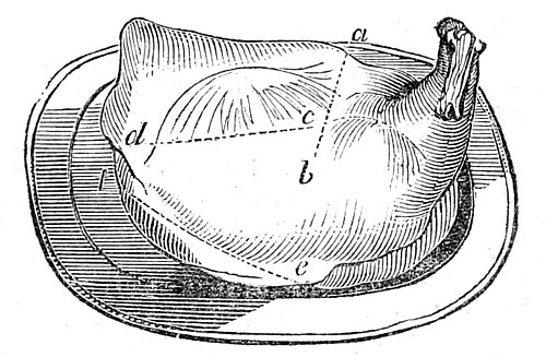 Shoulder of Mutton