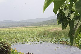 Étang de Miragoâne