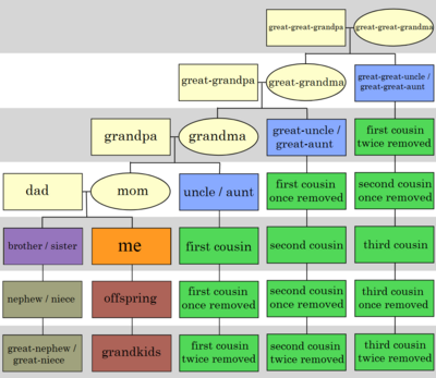 First Cousin Second Cousin Chart