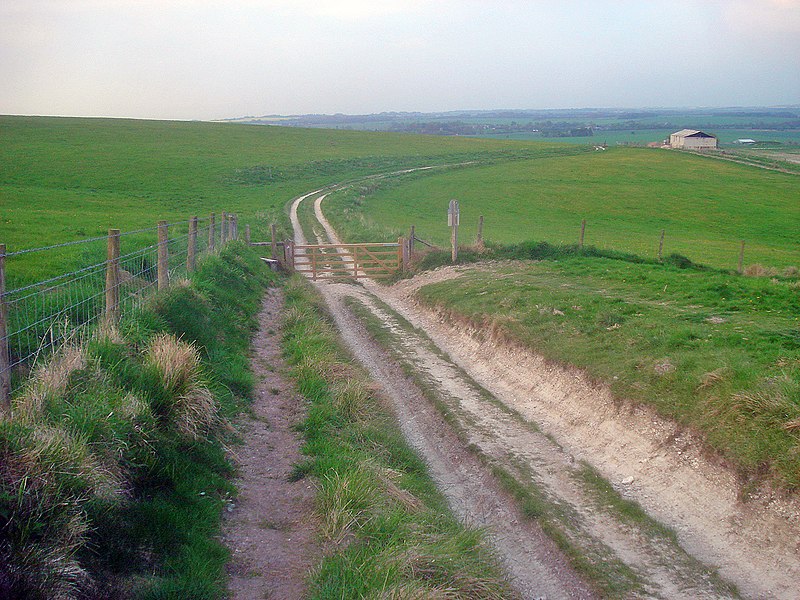 File:Farm track on Cherhill Down - geograph.org.uk - 2201893.jpg