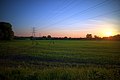 * Nomination Sunset over a field near Twyford, UK. Pylon and electric cables visible against the sky. Taken through a neutral density filter. --Prosthetic Head 18:31, 7 June 2018 (UTC) * Promotion  Support Good quality. --Ermell 19:54, 7 June 2018 (UTC)