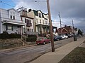 Houses located opposite the Fineview Overlook.