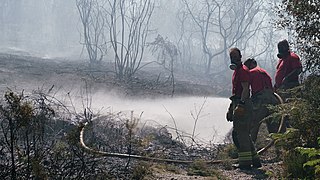 2022 United Kingdom heat waves Period of unusually hot weather in the summer of 2022