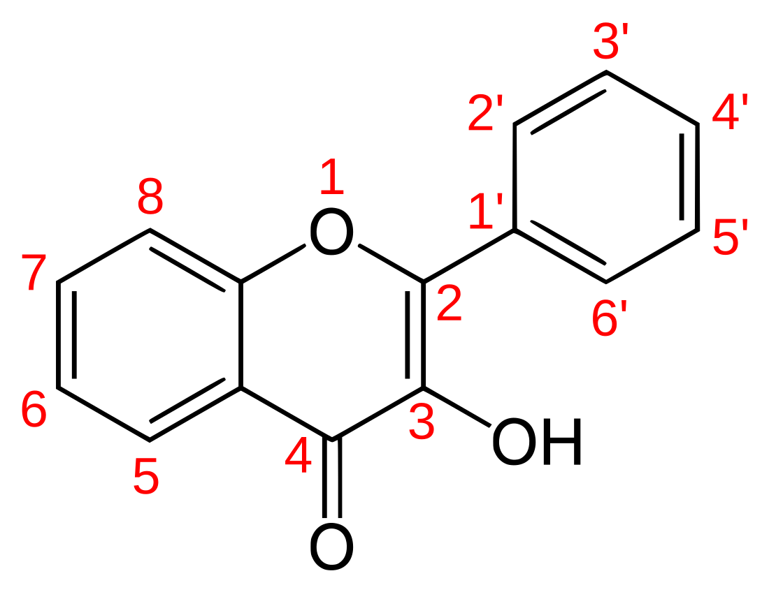 Flavonols