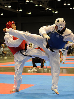 Flickr - The U.S. Army - Taekwondo champion.jpg
