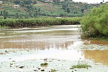 Kagera River Flood of Akagera River.jpg