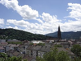 Freiburg - Blick vom Fahnenbergplatz auf Münster 1.jpg