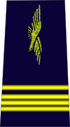 French Air Force-commandant