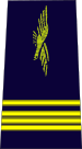 French Air Force-commandant.svg