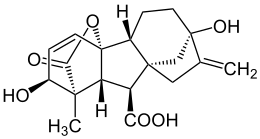 Structure of gibberellic acid