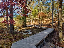 Boardwalk in a wooded area of the campus. Glenstone 08.jpg