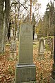 Čeština: Hroby na židovském hřbitově v Dřevíkově, okr. Chrudim. English: Gravestones at Jewish Cemetery in Dřevíkov, Chrudim District.