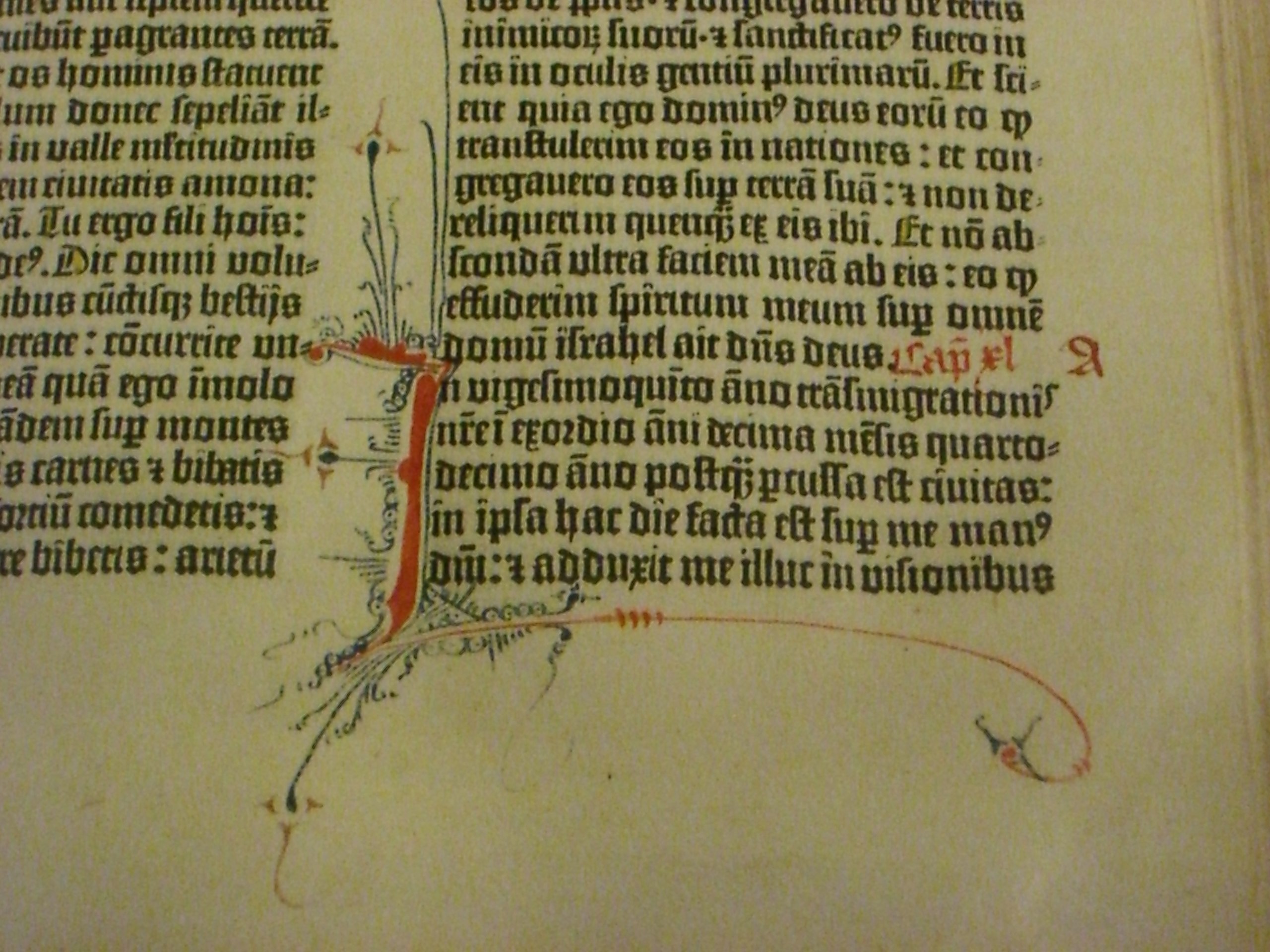 Gutenberg Bible - Wikipedia