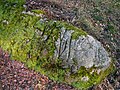 Geritzter Fels auf dem Weg zur Kapelle