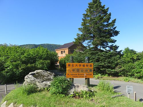 東北大学学術資源研究公開センター植物園 Wikiwand