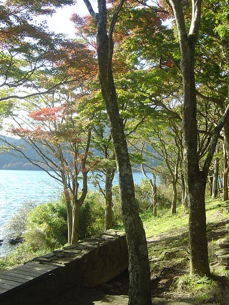 File:Hakone Ashinoko lake dsc05266.jpg