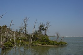 Haomeiliao Wetland