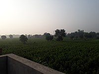 Sirsa district