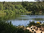 Heiligenwaldsee