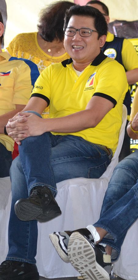 Herbert Bautista 2016.jpg