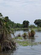 منتزه جزيرة روبوندو الوطني وبحيرة فيكتوريا، مع فرس النهر في الخلفية.