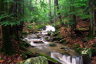 Holly River State Park State Park in Webster County, West Virginia