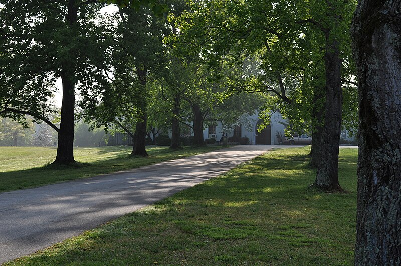 File:Holy Spirit Monastery road to the welcome center.jpg