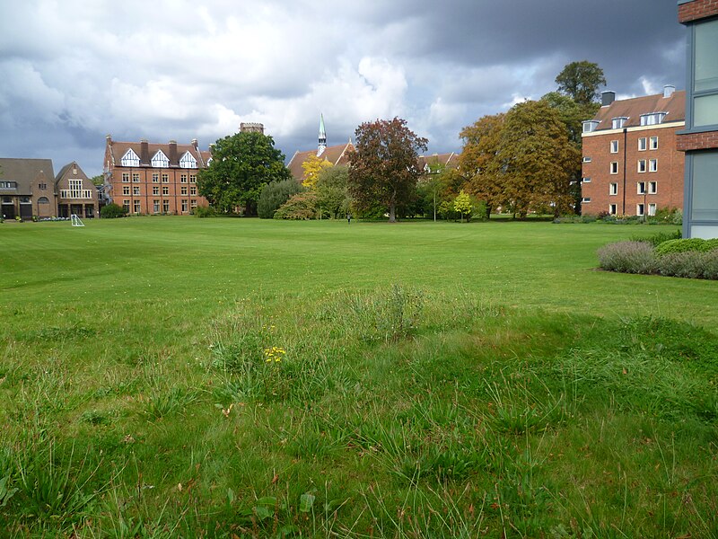 File:Homerton College, Cambridge - geograph.org.uk - 2608800.jpg