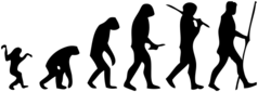 A symbolic portrayal of human evolution, showing developmental stages as a matter of illustration. Human-evolution-man.png