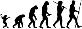 Human-evolution-man.png