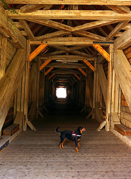 File:Hund in gedeckter Brücke in Beuron.jpg