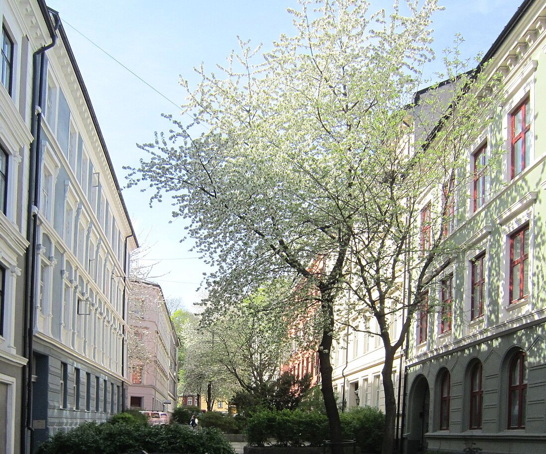 Iduns gate (Oslo)