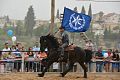 Israeli-Police-Facebook--Cavalry-001.jpg