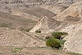 Izrael, poušť, imgp2688 (2019-03).jpg