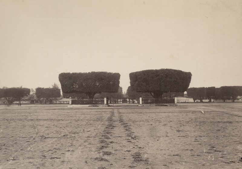 File:KITLV 103224 - Kassian Céphas - Waringins on the alun-alun to Yogyakarta, planted in 1756 by the first Sultan - Around 1890.tif