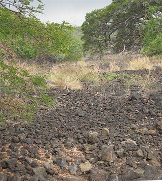 <span class="mw-page-title-main">Keauhou Holua Slide</span> Historic Place in Hawaii County, Hawaii