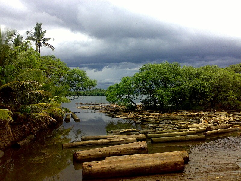 File:Keeriyad Valapattanam river 2006.jpg