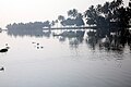 From the backwaters in Kerala.