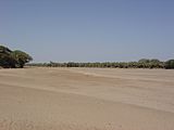 Kerio River during dry season.  Riverbed is silty and easily erodes during storm events.