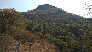 <span class="mw-page-title-main">Konkan Diva Fort</span> Ancient Indian fort