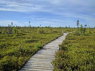 Parque Nacional Kouchibouguac