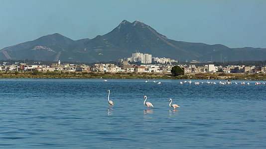 Sight on Lake of Tunis