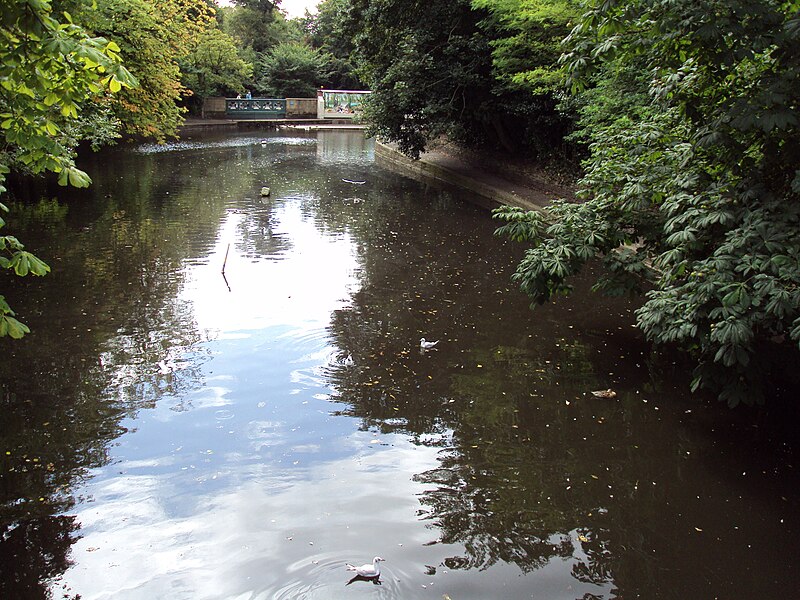 File:Lake, Botanic Gardens, Churchtown.JPG