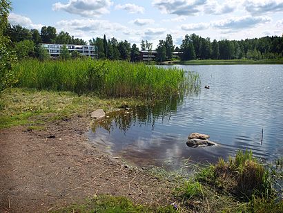 Kuinka päästä määränpäähän Lammaslampi käyttäen julkista liikennettä - Lisätietoa paikasta