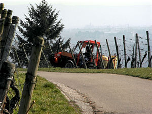 Weinbau In Deutschland: Geschichte des Weinanbaus in Deutschland, Bedeutung und Umfang, Gliederung der Lagen